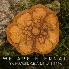 PREMIERE: We Are Eternal - Medicina de la Tierra [SofaBeats]