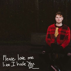 Please Love Me Like I Hate You