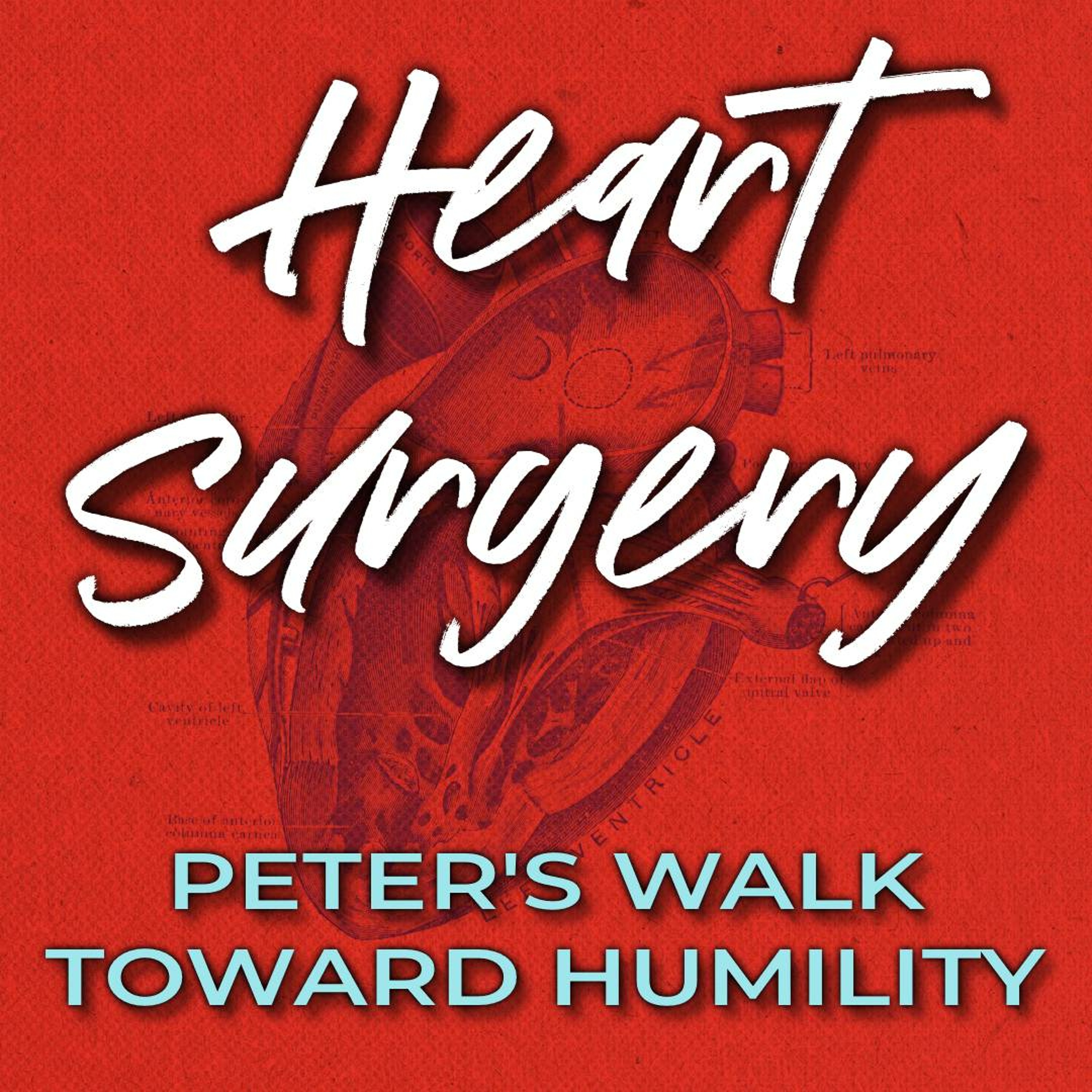 Zenon Sommers: Heart Surgery - Peter's Walk Toward Humility (John 21:15-19) episode artwork