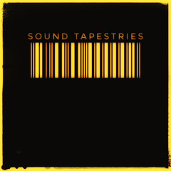 DJ Telestic Live - Ep. 009 - Sound Tapestries @ Maddie's Birthday 2024 (Part 2)