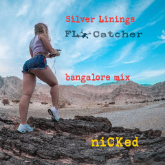 KIN Tourist (niCKed Bangalore miX)