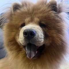 0128_羊文学-1999remix.wav