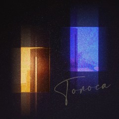 VVCTRY x USD - Голоса