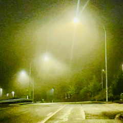 there is no see you later