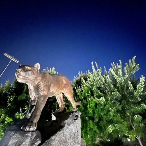 Stream episode Project 6 Radio Ad by Shane Spencer podcast | Listen ...