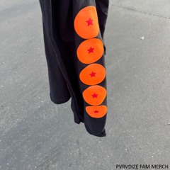 @pvrvdizefammerch