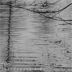 Introspect IV-VI