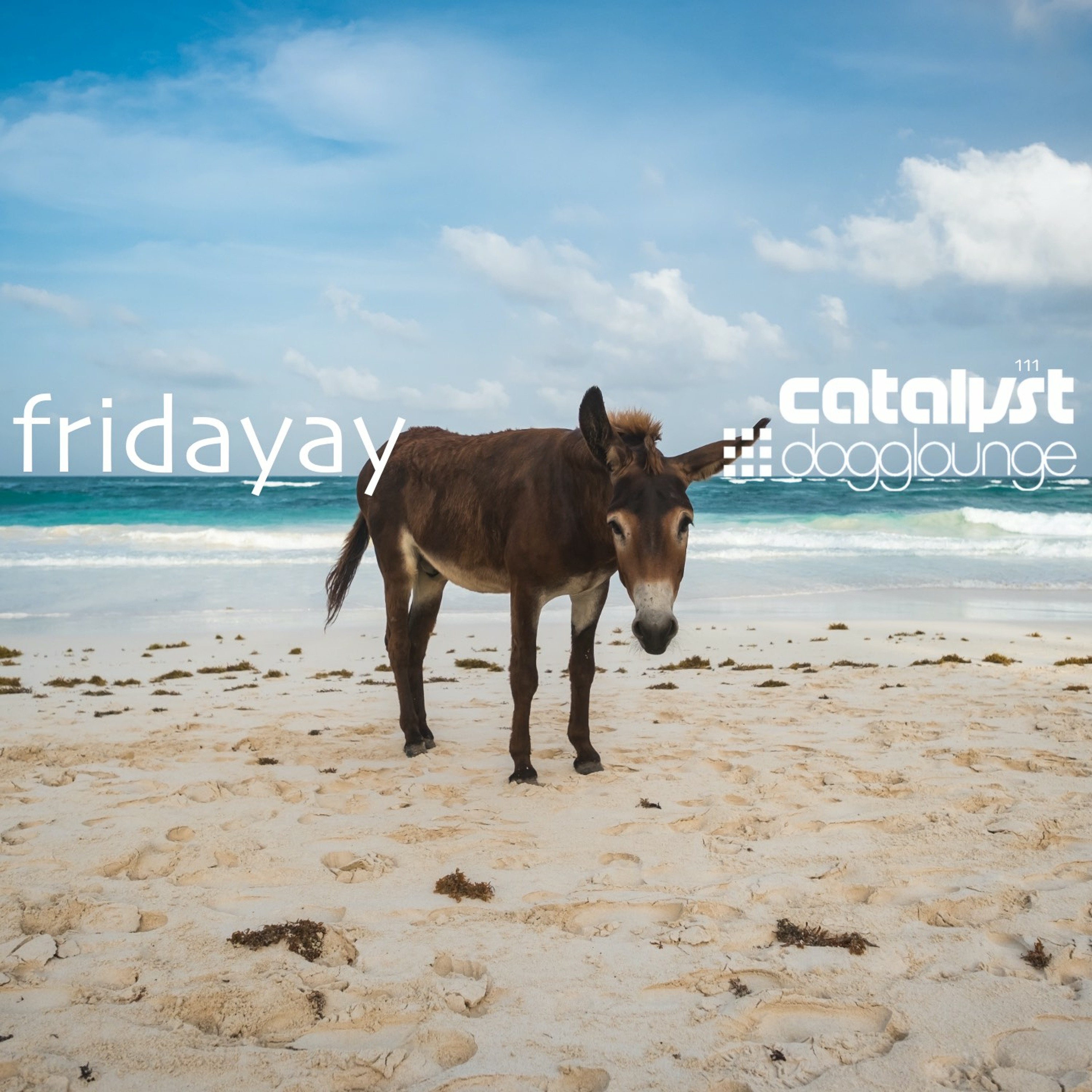 cover of episode DL111 - fridayay