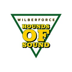 Wilberforce University | Hounds of Sound | "Freak It"