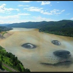 개번강개
