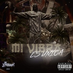 MI VIBRA ES UNICA - STEBAN DJ