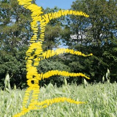 føler mig skør - FT. Ung Tørklæde