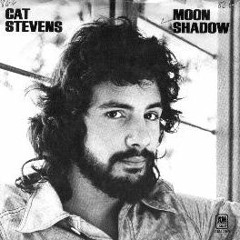 Moonshadow - Cat Stevens - Sepehr Eghbali Cover