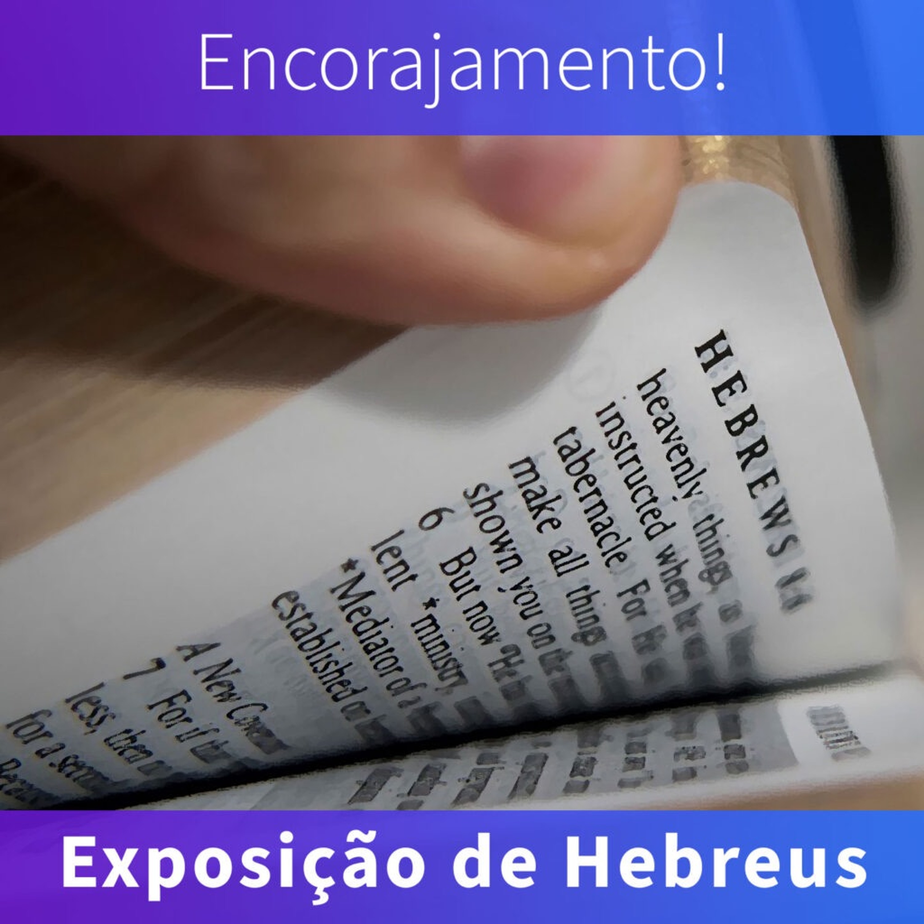 IPB Rio Preto