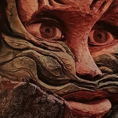 Liked playlist songs