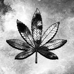 Crystal Girl - Trippy Baby (feat. Ladzo)