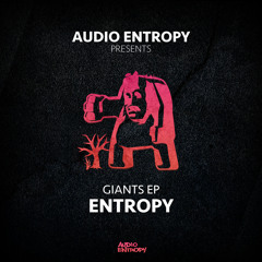 Entropy - Twisted