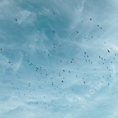 Flying with the Wind (#1)