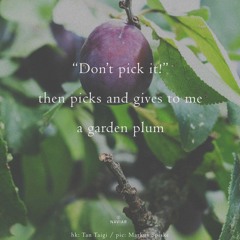 Don’t pick it! (naviarhaiku623)