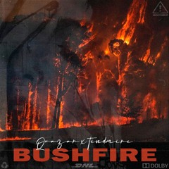 BUSHFIRE W/QVAZAR