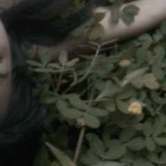 SoLSC(Start on Living, Stop Competing)