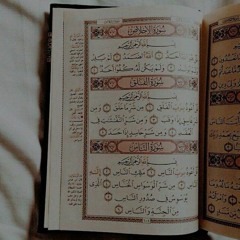 هَٰذَا بَلَاغٌ لِلنَّاسِ وَلِيُنْذَرُوا بِهِ | الزهراني