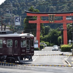 合作用 松尾大社