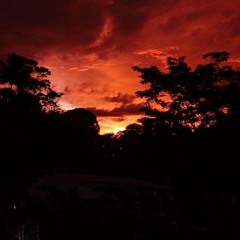 mag.lo - ways of a tainted earth -- slowed & reverb