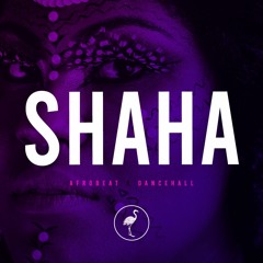 [FREE] SHAHA riddim x afrobeat dancehall instrumental x Afrobeat type beat 2024