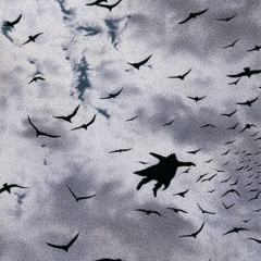 Zero Day (mayday)