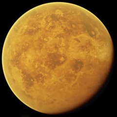 Erycina