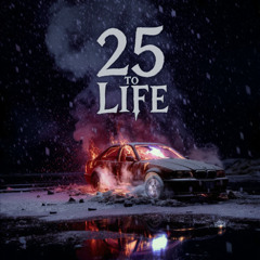 25 to Life
