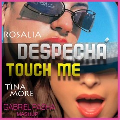 Rosalia,Tina More - Despecha x Touch me (gabriel pasha mashup)