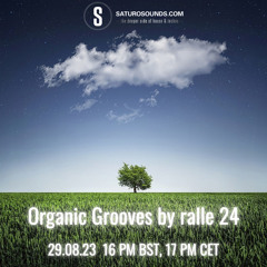 Organic Grooves by ralle 24, 29.08.23