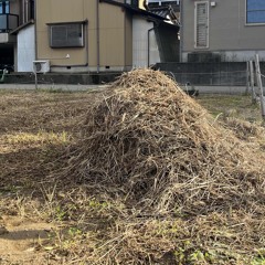 I trust youのテーマ