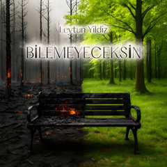 Leytun Yildiz - Bilemeyeceksin (Afrobeat Version)