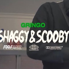 Gringo - Shaggy & Scooby (Music Video) | Pressplay