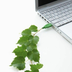 ｃｏｅｆｆｉｃｉｅｎｃｙ 係数