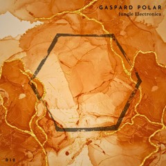 Indefinite Pitch PREMIERES. Gaspard Polar - The Last Rays Before Nightfall [Melifera]