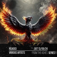 Grid - Rico & Tactic ( From The Ashes - Series 1 VA)