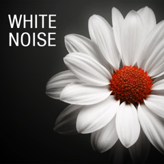 White Noise for Baby Sleep Peaceful Music For Insomnia and Stress Relief Nature Lullabies for Babies