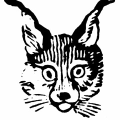 Stabber (unreleased NIghtshifters)