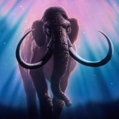 DJ Bim -The Mammoth And The Red Cat