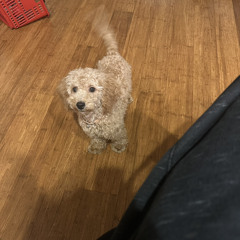 where you going