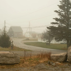 Beals Island Fog