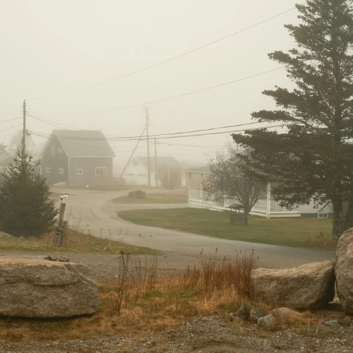 Beals Island Fog