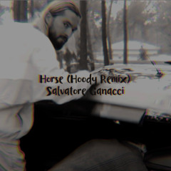 Horse (Hoody Remix) - Salvatore Ganacci