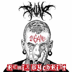 F.I.T.A.R. - Insane (Christ Remix)