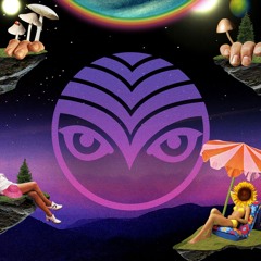 Shambhala 2024 Live Mixes | Shambhala Music Festival