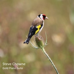 III Goldfinches